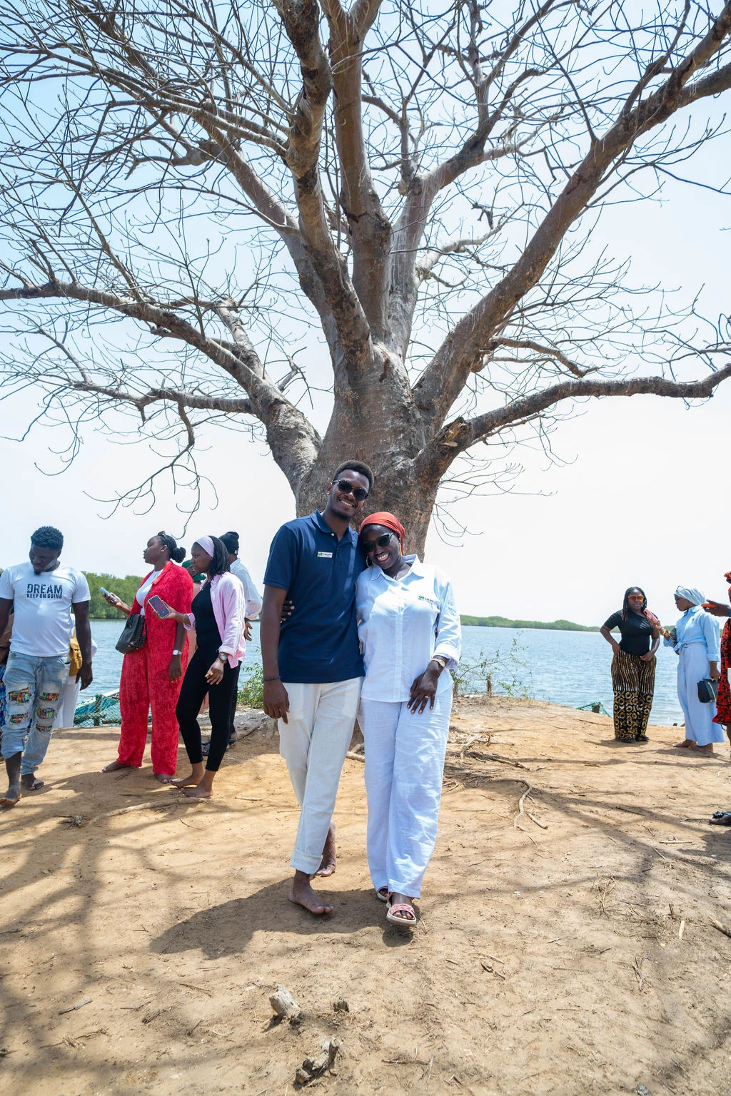Rassemblement sous le baobab du Saloum