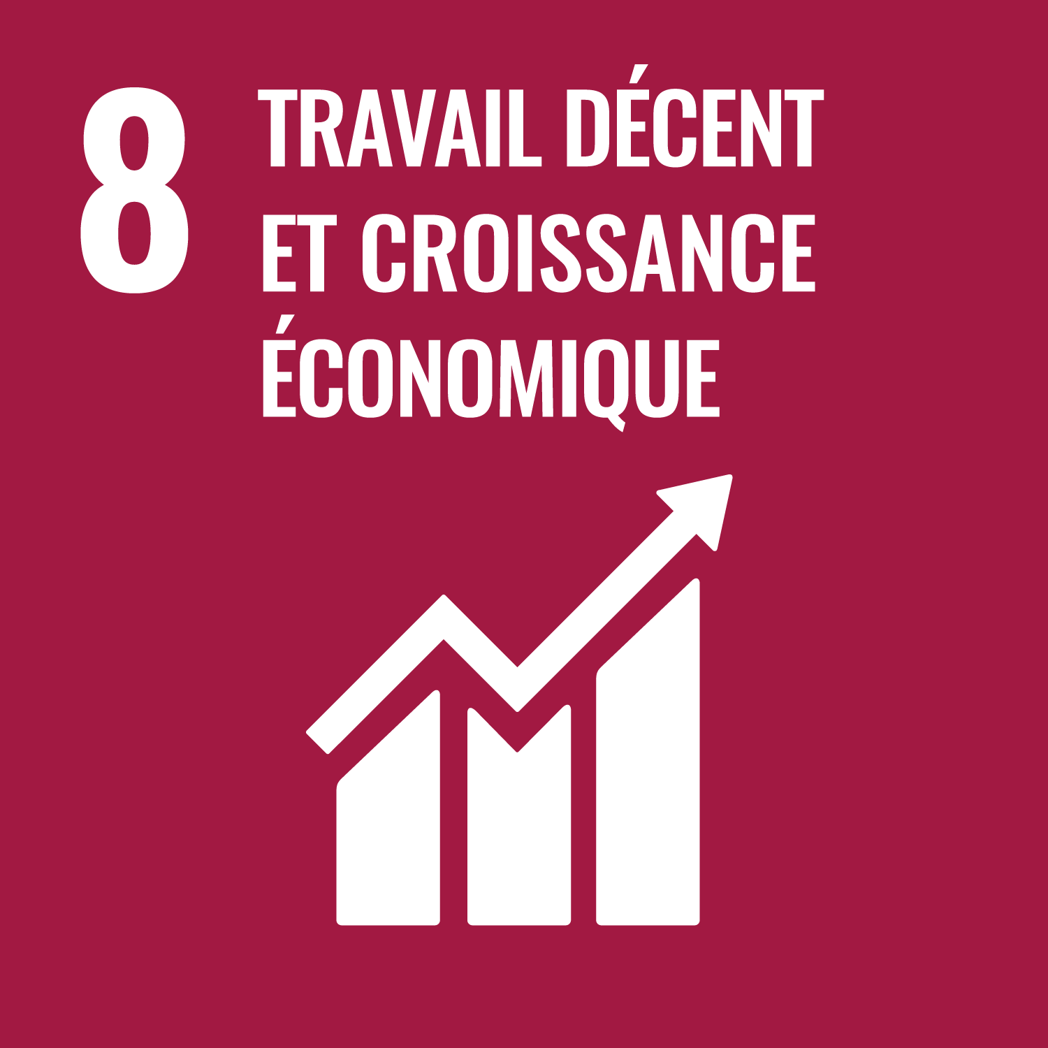 ODD 8, travail décent et croissance économique