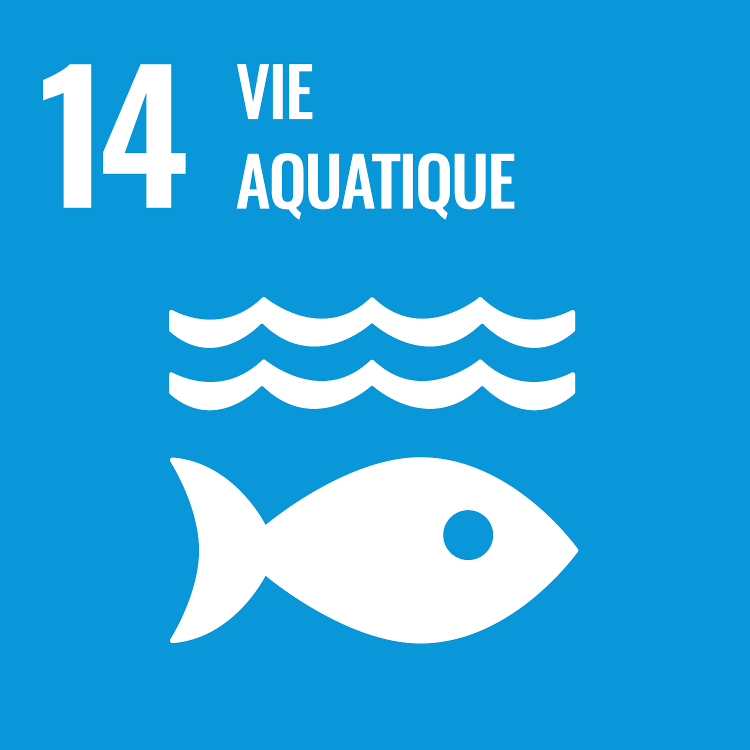 ODD 14, vie aquatique