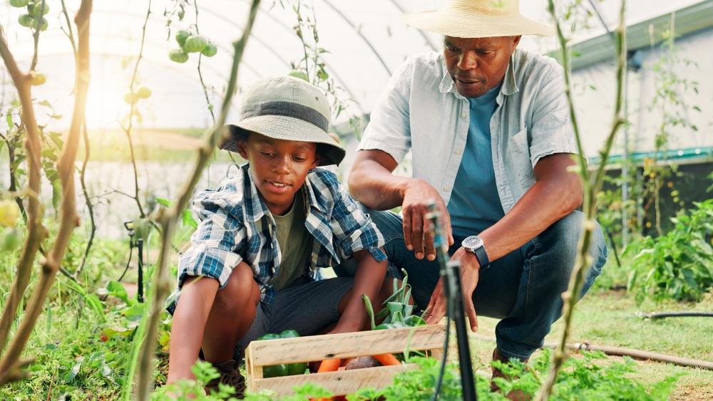 Agriculture durable